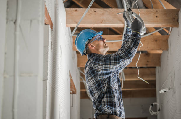Best Electrical Wiring Services  in Meadow Woods, FL