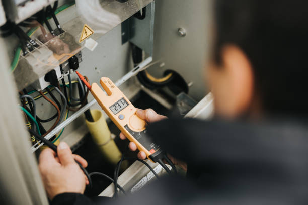 Best Residential Electrician Services  in Meadow Woods, FL