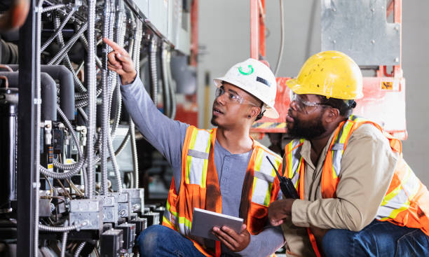 Best Electric Panel Repair  in Meadow Woods, FL