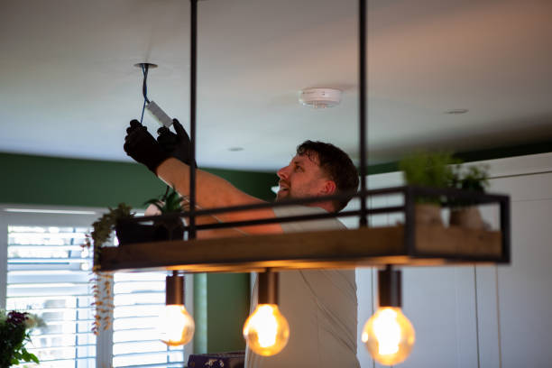 Best Home Electrical Repair  in Meadow Woods, FL