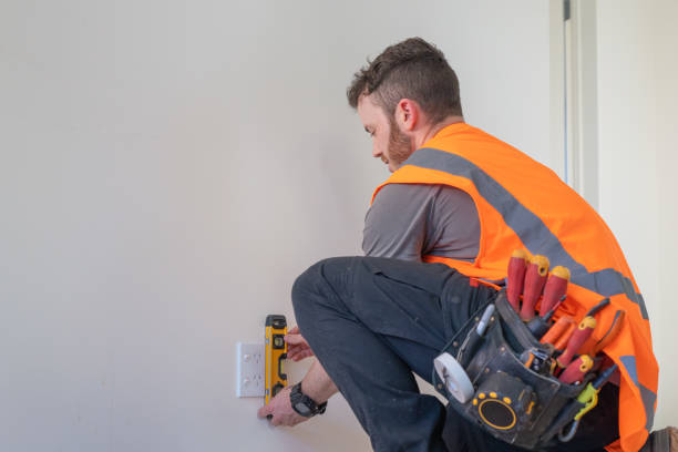 Best 24-Hour Electrician  in Meadow Woods, FL