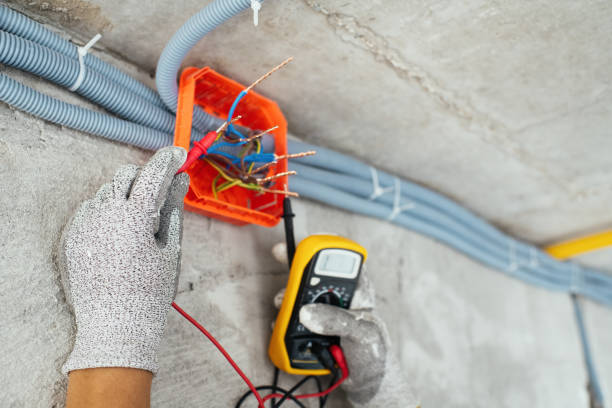 Best Local Electrician Companies  in Meadow Woods, FL