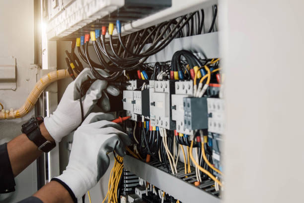 Best Local Electrician Companies  in Meadow Woods, FL